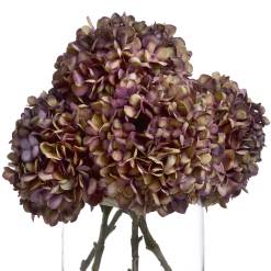 Autumn Burgundy Hydrangea - image 4