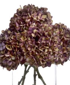 Autumn Burgundy Hydrangea