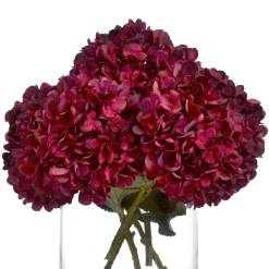 Autumn Ruby Hydrangea - image 4