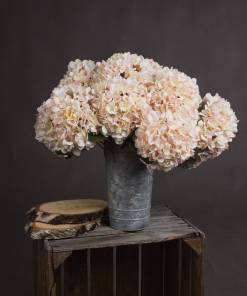 Autumn White Hydrangea
