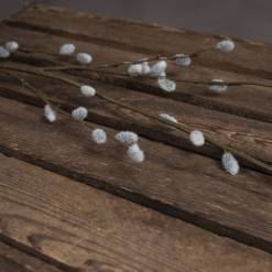 Pussy Willow Branch - image 3
