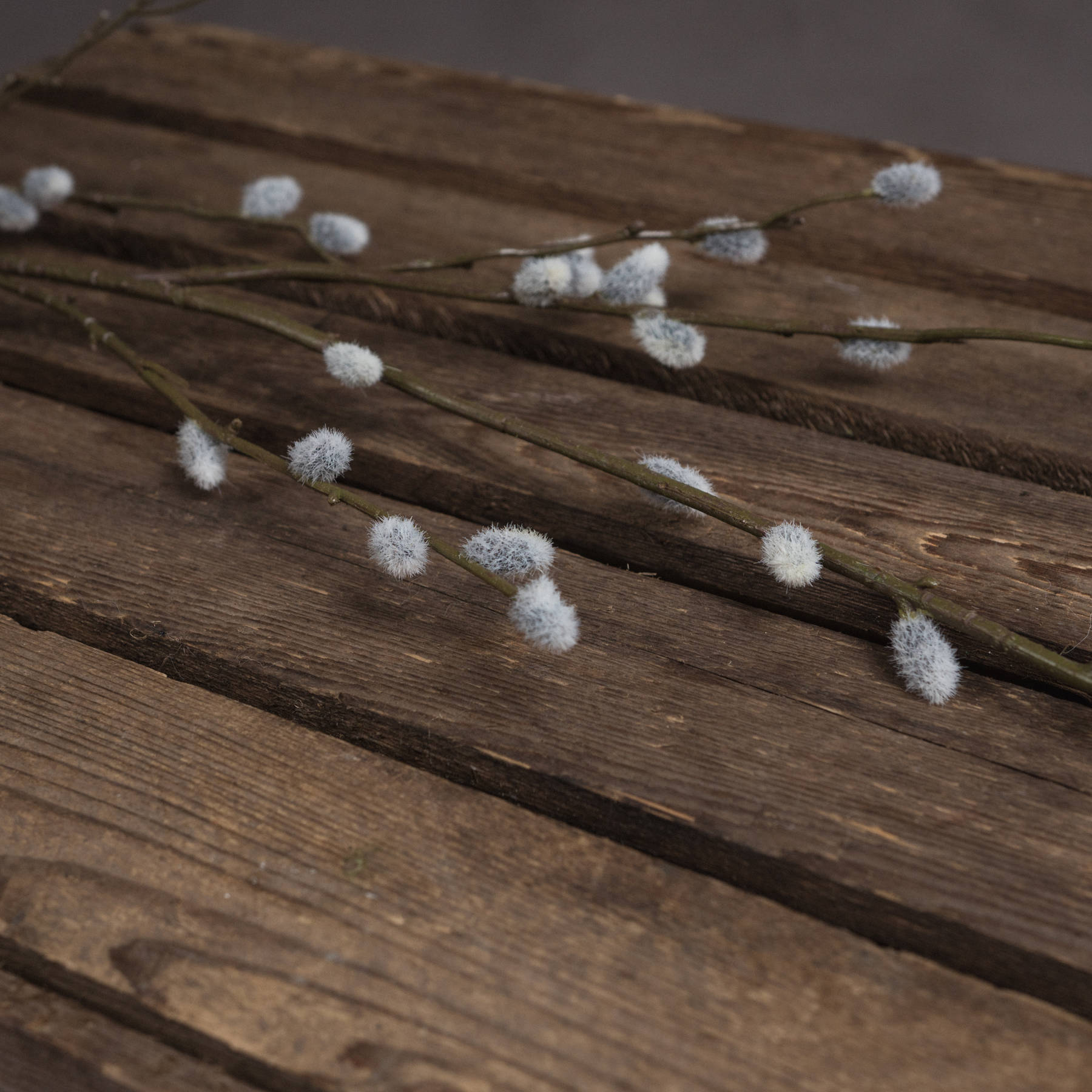 Pussy Willow Branch - image 3