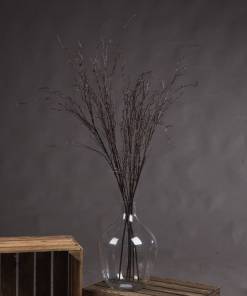 Branch Spray