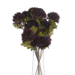 Chocolate Chrysanthemum - image 4