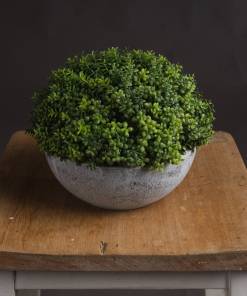 Small Hebe Globe Pot