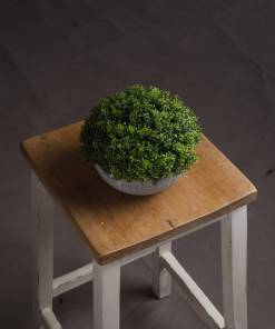 Small Hebe Globe Pot