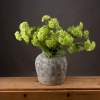 Green Viburnum Spray