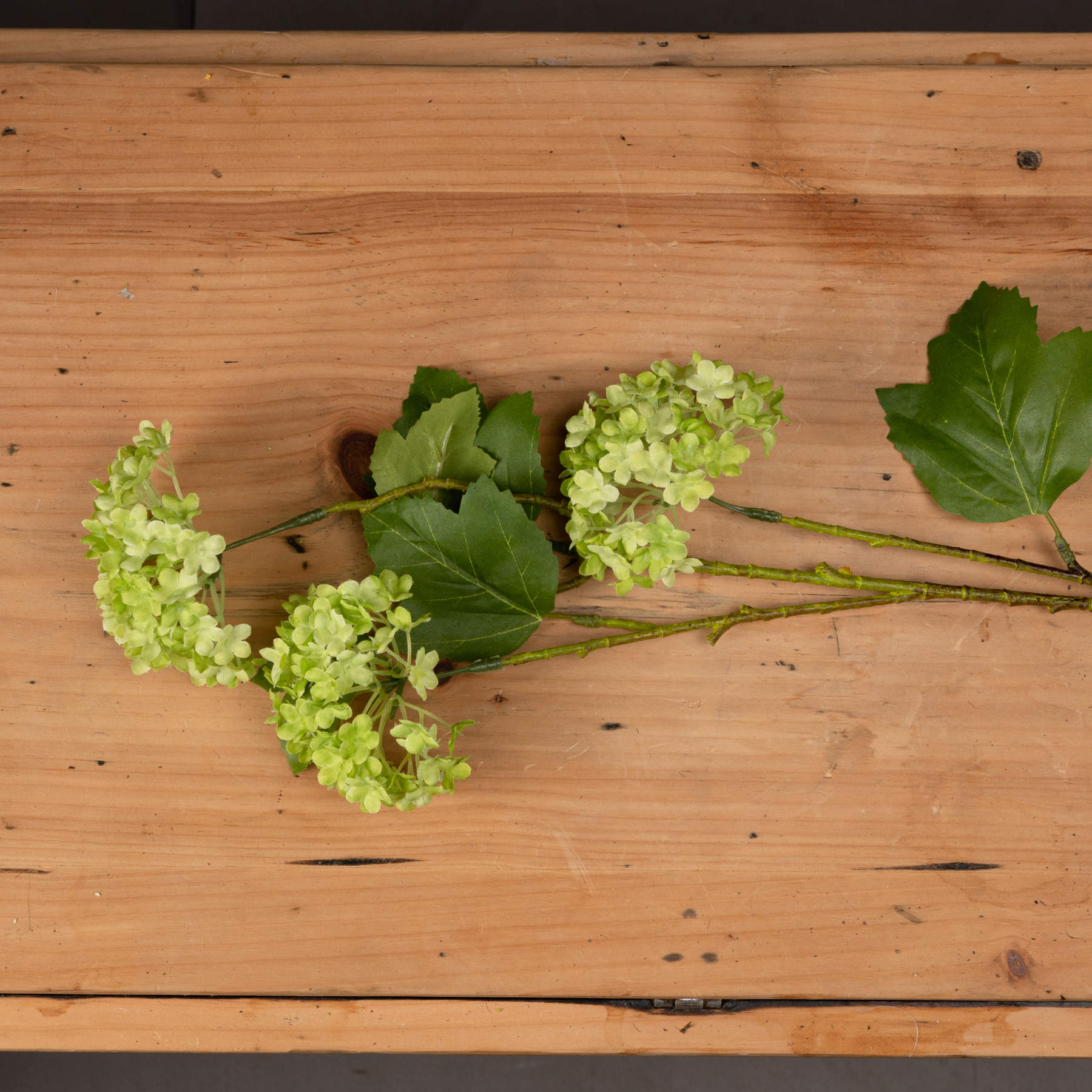 Green Viburnum Spray - image 2