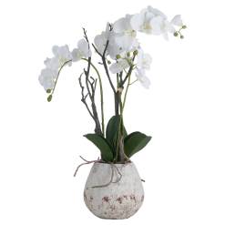 White Orchid In Stone Pot - image 2