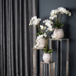 White Orchid In Stone Pot - image 4