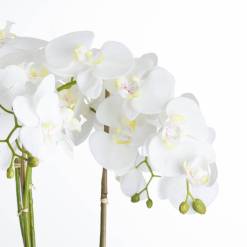 Large White Orchid In Stone Pot - image 3