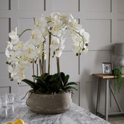 Large White Orchid In Stone Pot - image 4