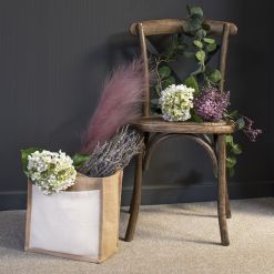 White Lace Cap Hydrangea - image 5
