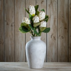 Closed White Protea - image 2
