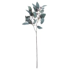 Seeded Eucalyptus Stem - image 3