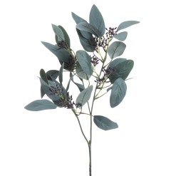 Seeded Eucalyptus Stem - image 4