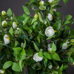 Cream Gardenia Stem - image 2