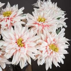 Lush Pink Dahlia - image 2
