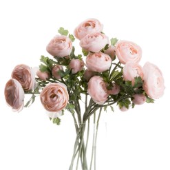 Pastel Pink Ranunculus - image 3