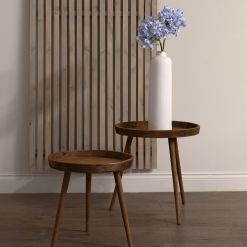 Light Blue Large Headed Agapanthus - image 4