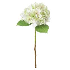 Shabby Green Single Hydrangea - image 2