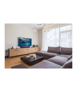 Hama Basic television antenna Indoor