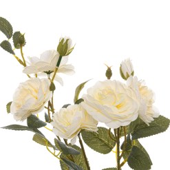 Soft White Cottage Rose Stem - image 2