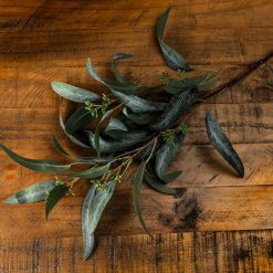 Seeded Eucalyptus Spray - image 2