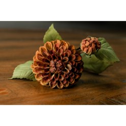 Deep Mustard Dahlia Stem - image 4