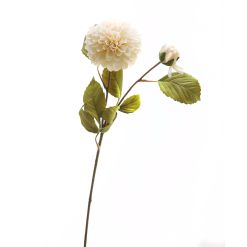 White Dahlia Stem - image 2