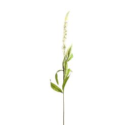 White Veronica Stem - image 2