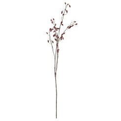Burgundy Rosehip Stem - image 3