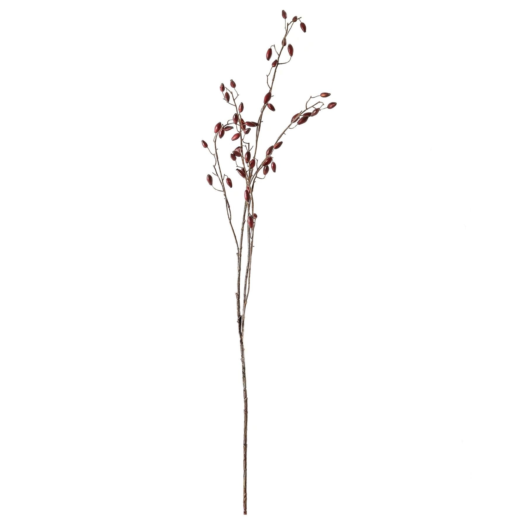 Burgundy Rosehip Stem - image 3