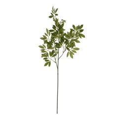 Long Fennel Stem - image 4