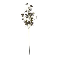 Variegated Maple Leaf - image 4