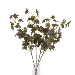 Variegated Maple Leaf - image 5