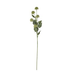 Thistle Globe Stem - image 4