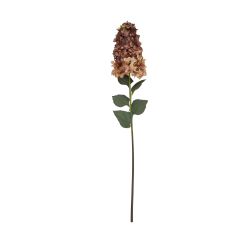 Burgundy Spear Hydrangea - image 4