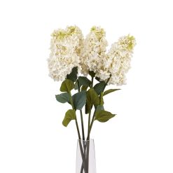 White Spear Hydrangea - image 5