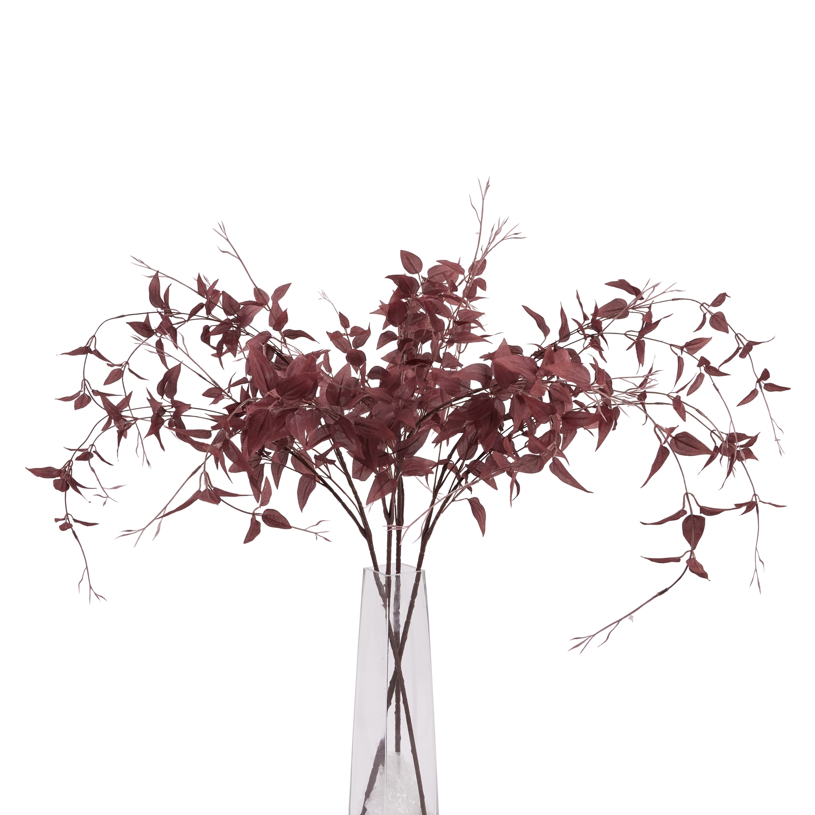 Ornamental Burgundy Leaf - image 3