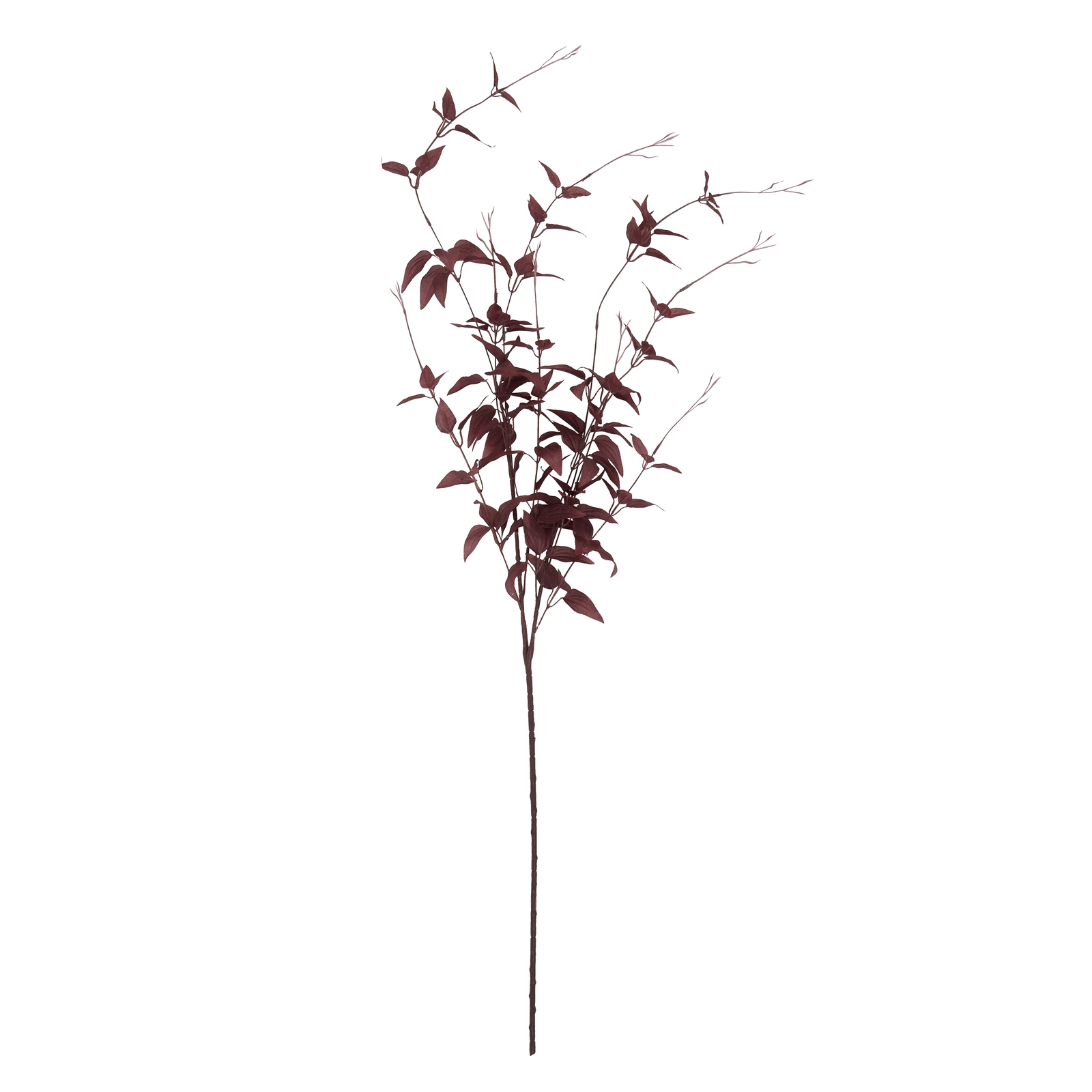Ornamental Burgundy Leaf - image 4