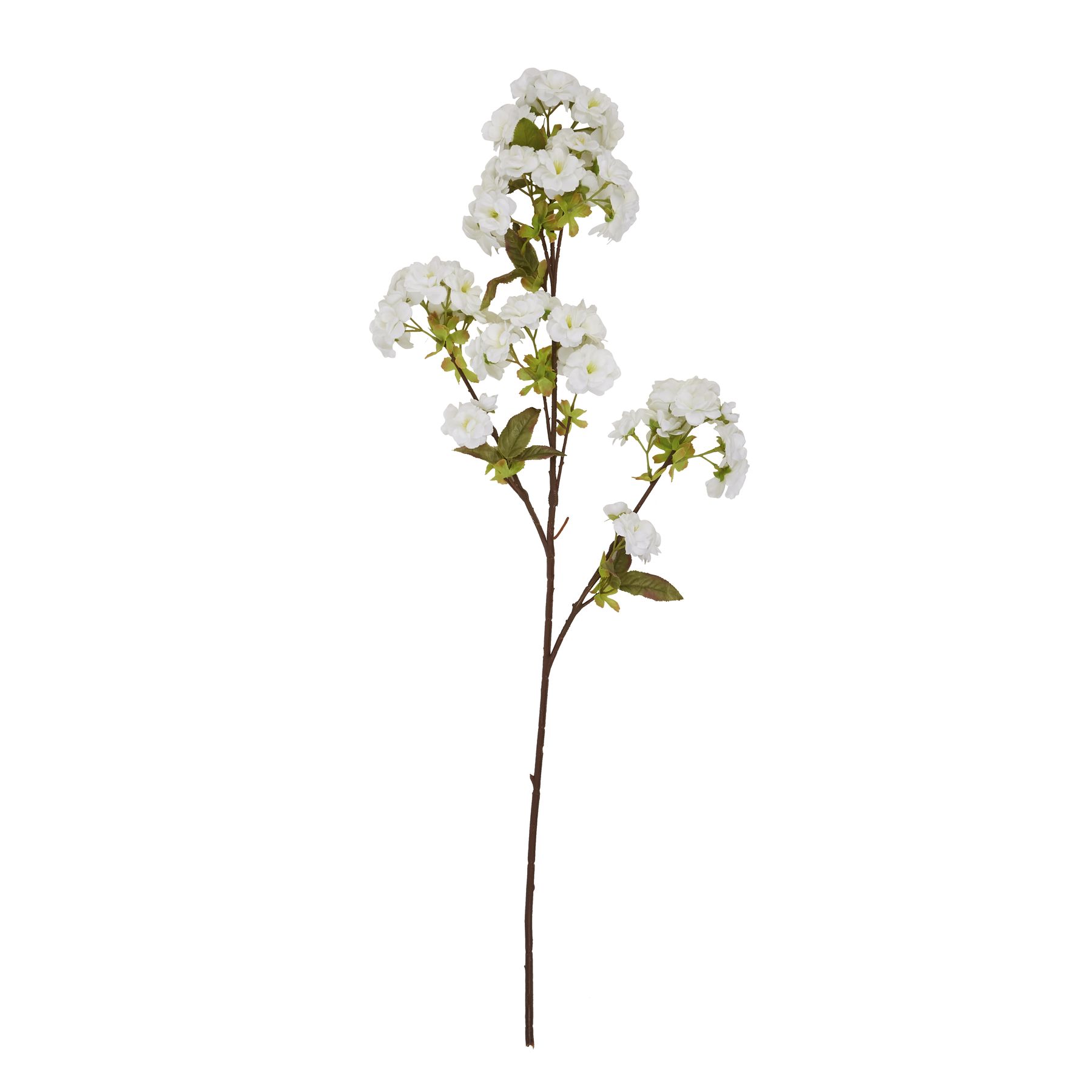 Tall White Blossom - image 4