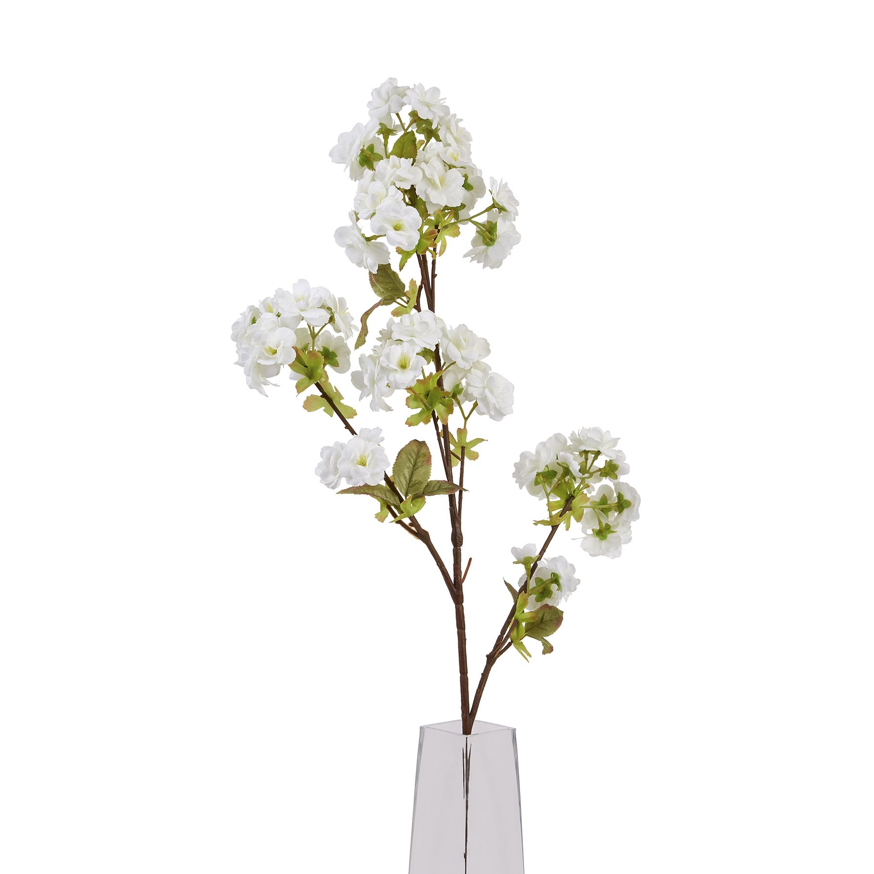 Tall White Blossom - image 5