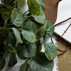 Short Eucalyptus Bunch - image 2