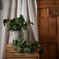 Short Eucalyptus Bunch - image 3