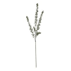Gunnii Blue Eucalyptus Spray - image 4
