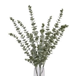 Gunnii Blue Eucalyptus Spray - image 5