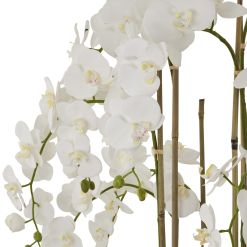 Large White Orchid In Antique Stone Pot - image 2