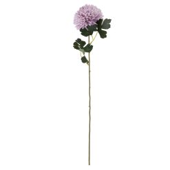 Light Purple Chrysanthemum - image 3