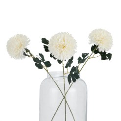 White Chrysanthemum - image 4
